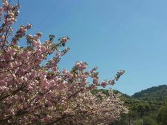 -白马涧龙池景区