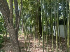 -秋霞圃