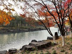 -狼山风景名胜区