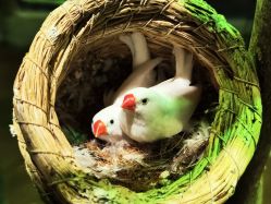 -Zoolung Zoolung动物主题公园(海信广场店)