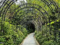 -福建鲤鱼洲酒店