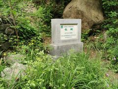 -云岫谷自然风景区