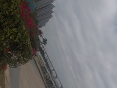 -海沧湾公园
