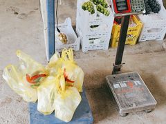 -马陆小张葡萄园农家乐