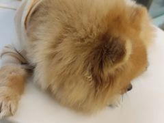 -怪兽屋·羊驼·猫咖·狗咖(俊华广场店)