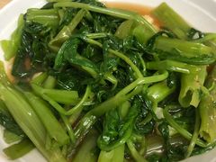 -广达眼镜炖罐(广达店)