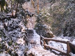 -青城山
