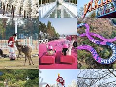 -盈香心动乐园
