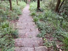 -青龙山国家森林公园