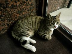 -大连何氏眼科医院