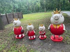 -溱湖国家湿地公园