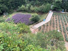 -云峰山自然风景区