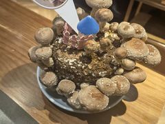 活体松香菇-捞王锅物料理(上海世茂广场店)