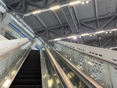 -上海当代艺术博物馆
