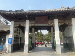 -团结湖公园