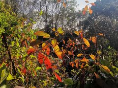 -水濂山森林公园