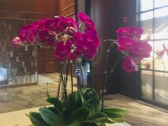 -三迪希尔顿酒店·星空酒廊