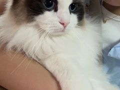 -零纪元VR体验馆·桌游(黄浦店)