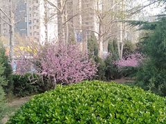 -欧韵公园