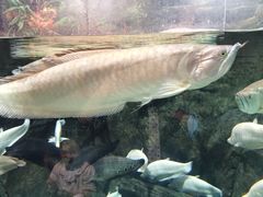 -成都浩海立方海洋公园