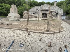 -哈尔滨北方森林动物园