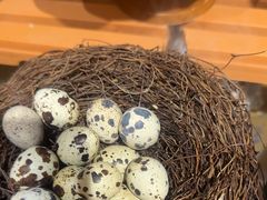 -深海聚汇·牛榴宴·自助料理(江宁万达店)