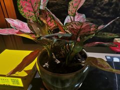 -天禧影院式足道·SPA(梅林店)