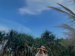 -坝光海滩