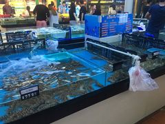 -亚龙湾中心广场