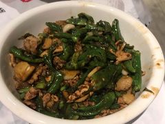 青辣椒炒肉-壹盏灯(惠农店)