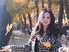 -三里屯东五街银杏大道