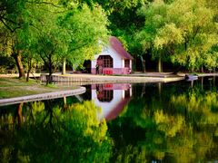 -上海共青森林公园