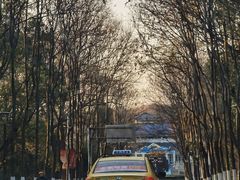 -章云板鸭(评事街店)