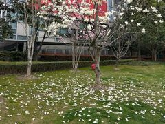 -上海电影博物馆