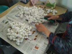 -太湖雪蚕桑文化园