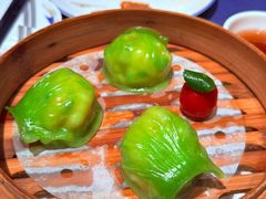 -点都德·毕德寮