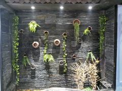 -一只烧鸡公(解放碑店)