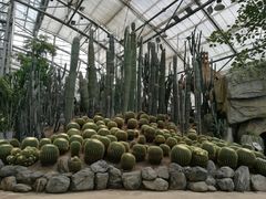 -南山植物园