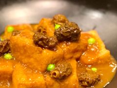 羊肚菌豆腐-广州文华东方酒店·江-由辉师傅主理