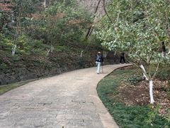 -南山风景名胜区