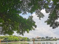 -仙湖旅游度假区
