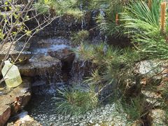 -武清南湖绿博园