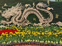 -南山植物园