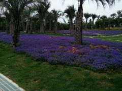 -南通洲际绿博园