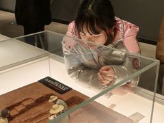 -盘龙城遗址博物院