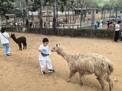 -大连森林动物园