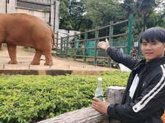-昆明动物园