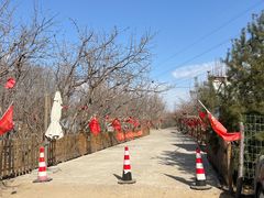 -香木香羊(小汤山店)