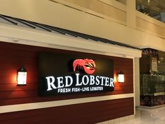 -RED LOBSTER(多伦多DT店)