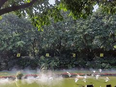 -广州长隆飞鸟乐园